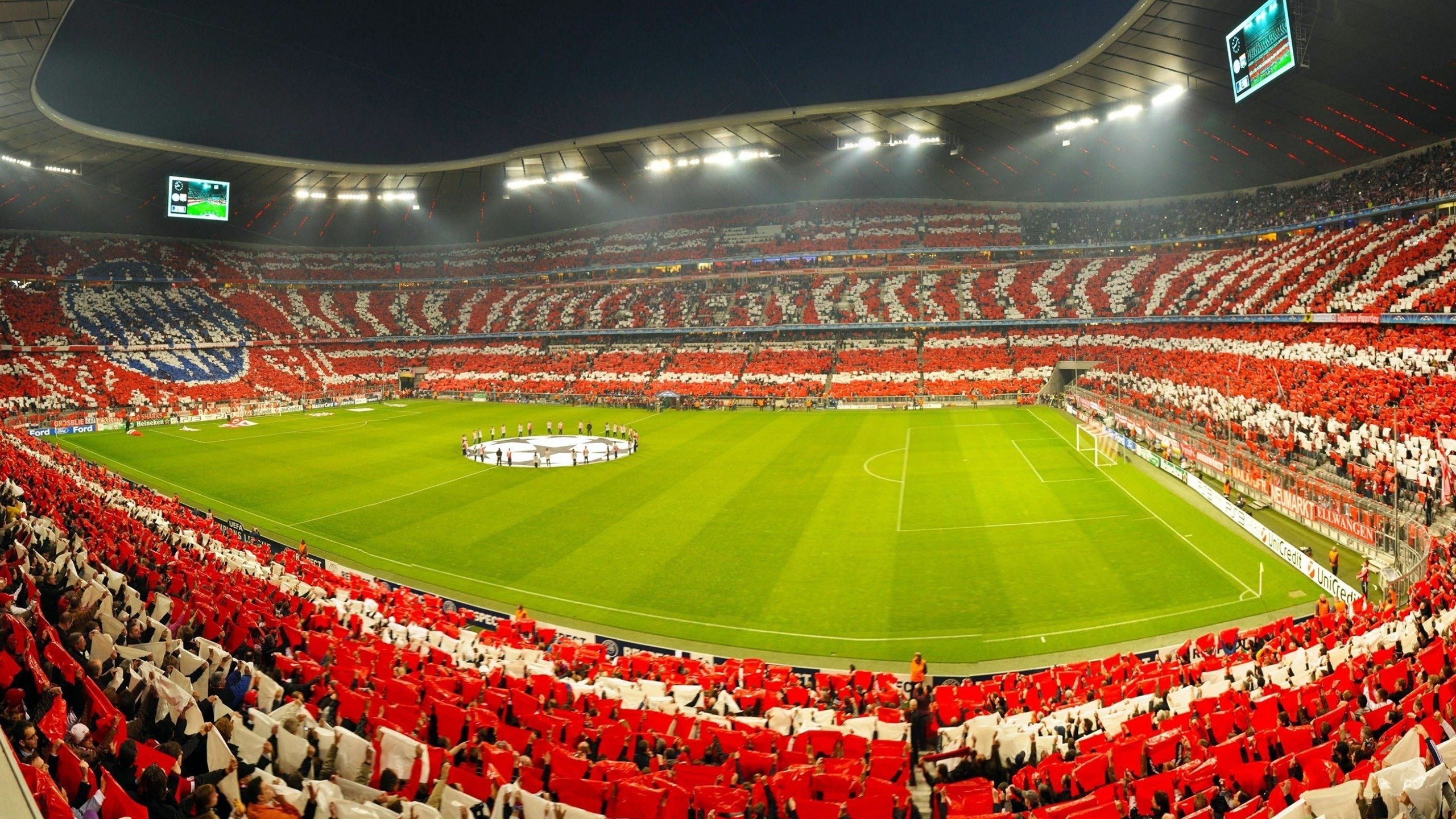 “南非羚羊队的未来：萨尔·巴赫能否带队迎接辉煌？”