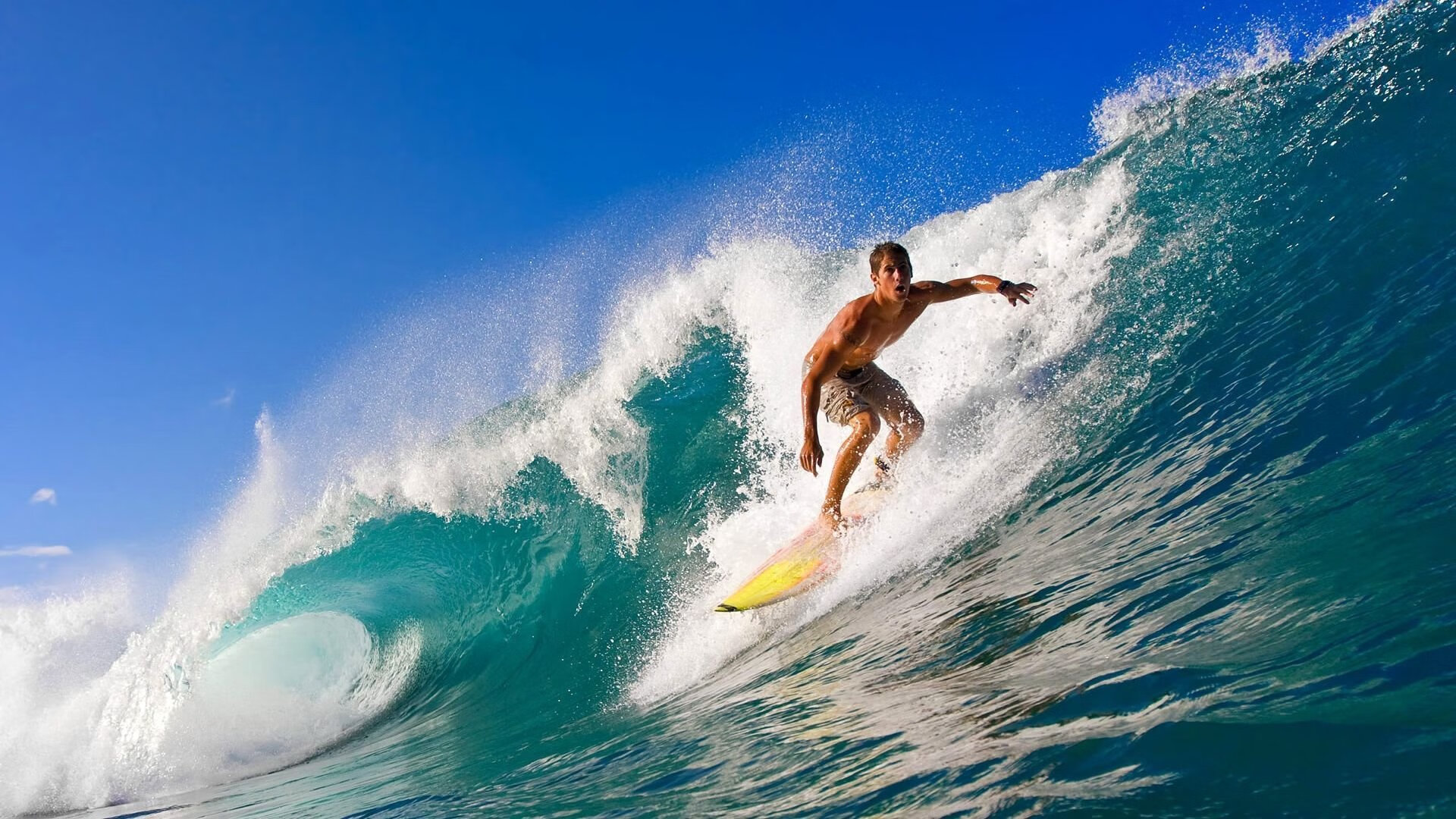 皮特·斯图斯的领导力:南非羚羊队的核心力量